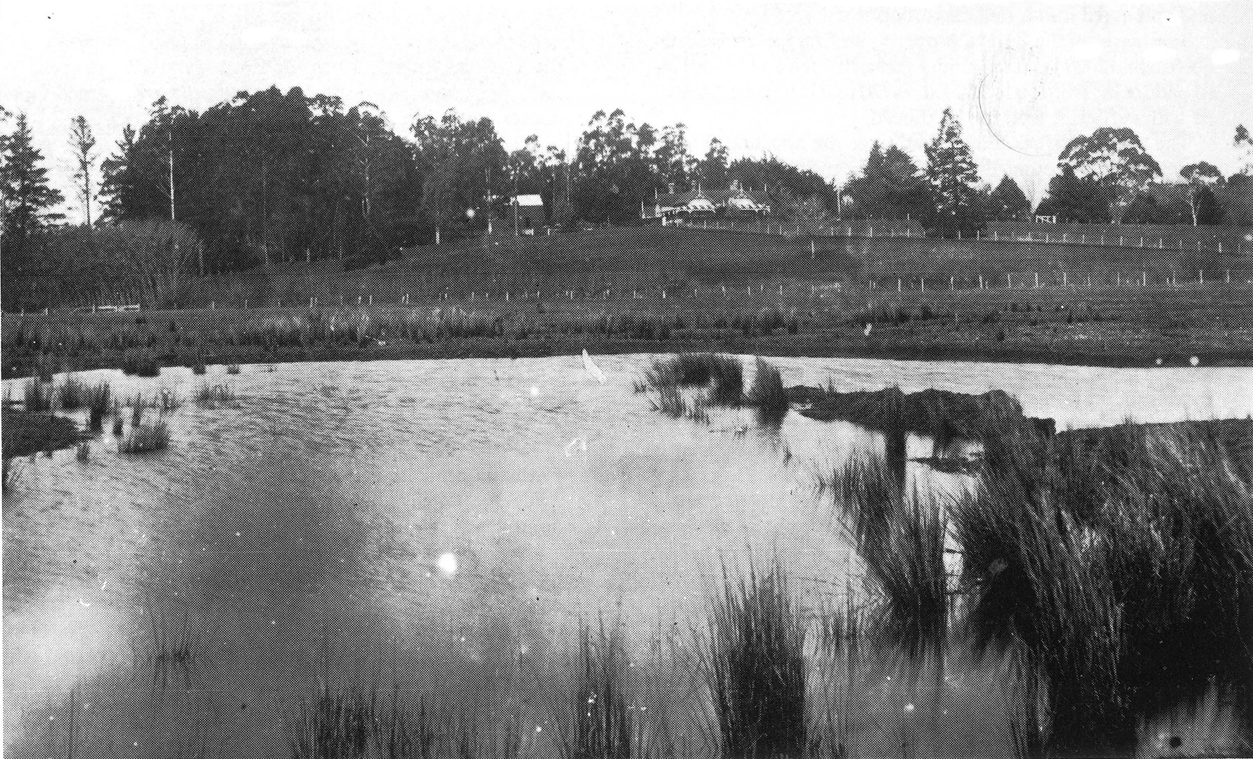 The Gordon homestead showing unclaimed swamp in the foreground
