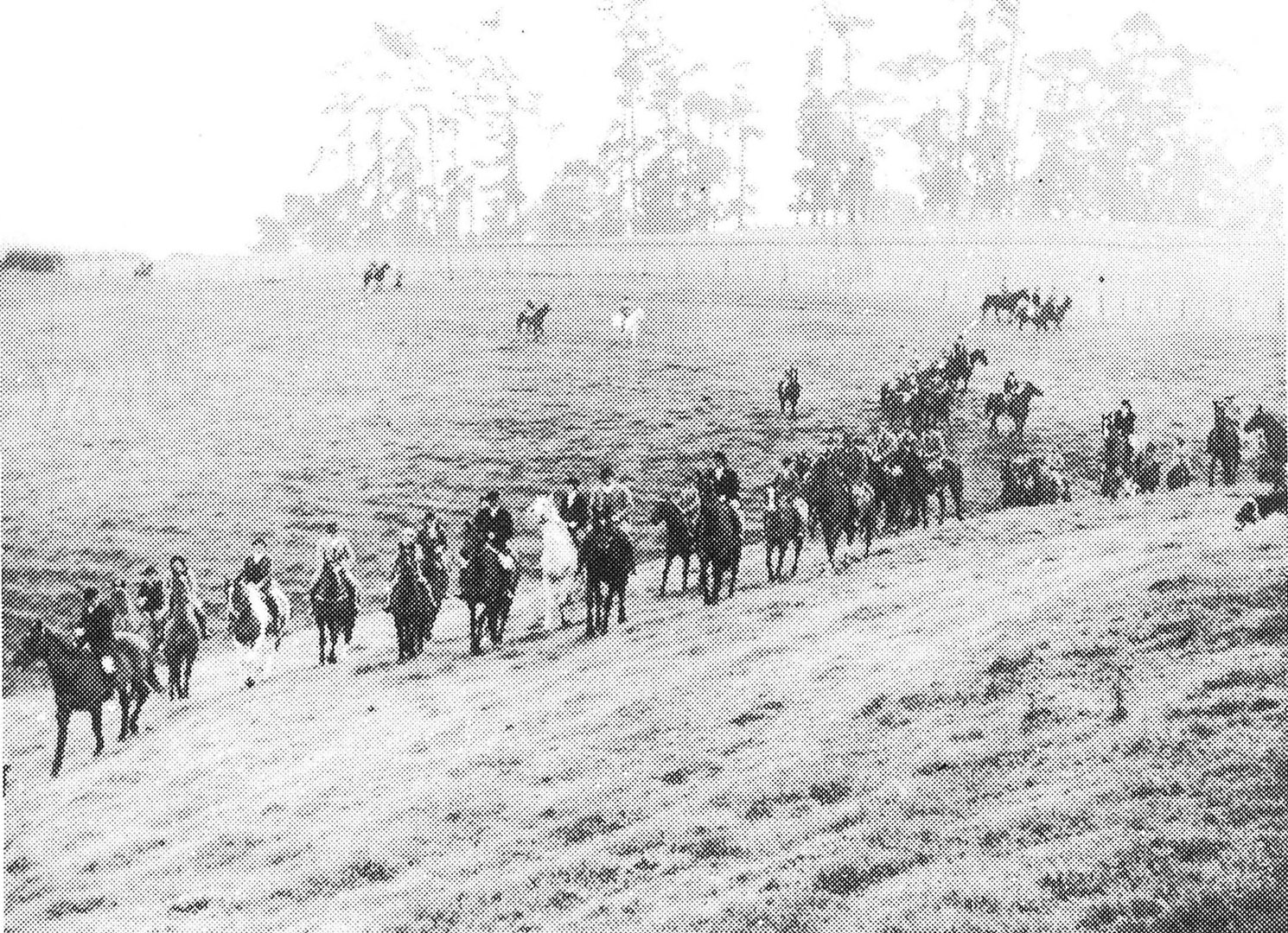 The Waikato Hunt on Johns' property (circa 1950)