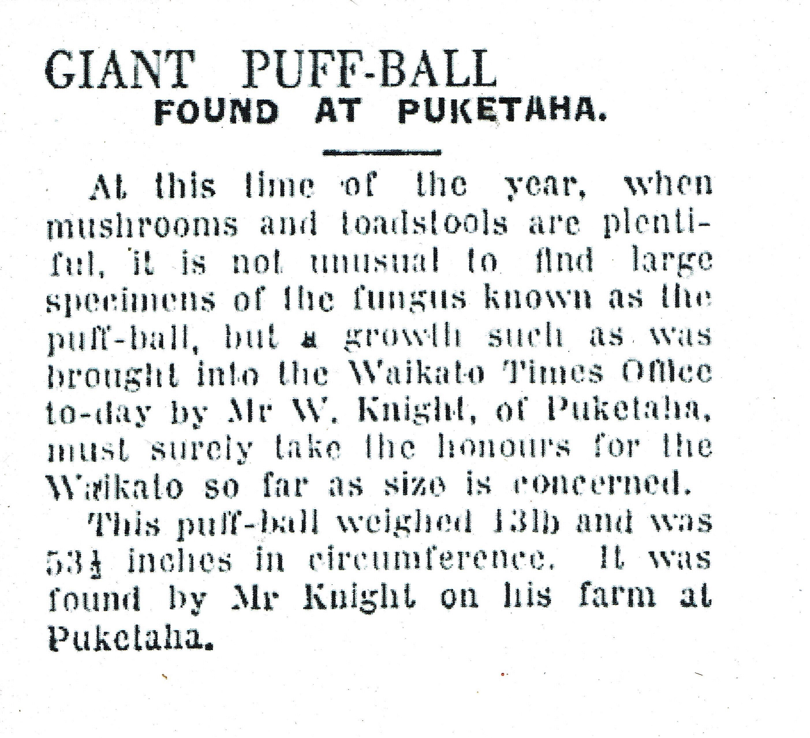 Puffball 1932