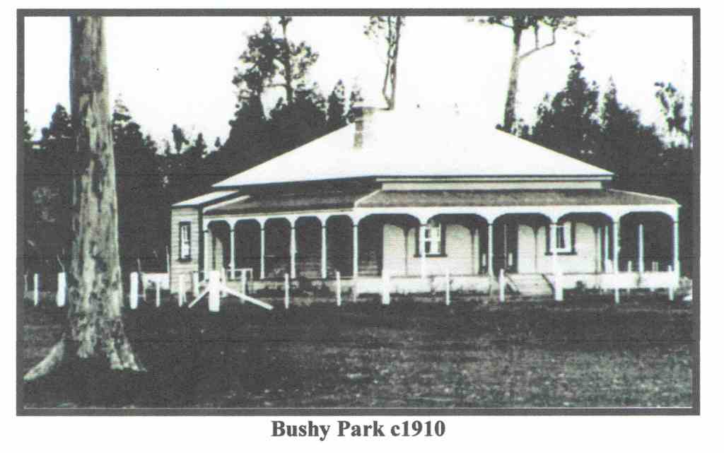 Bushy 1910