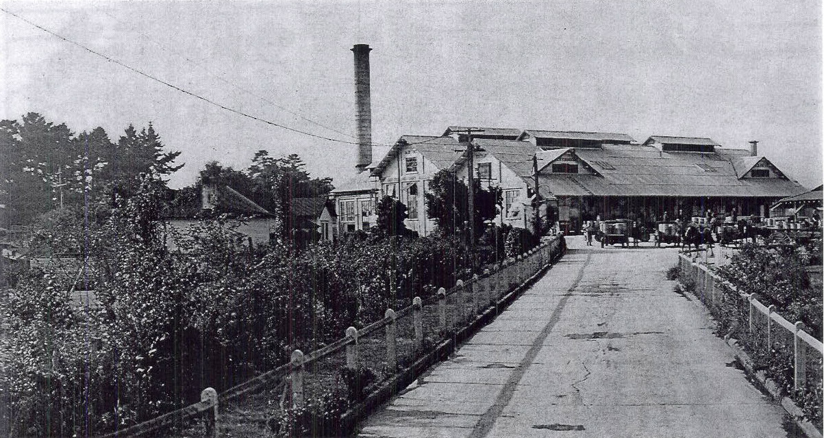 New Zealand Dairy Company Building, Matangi about 1935