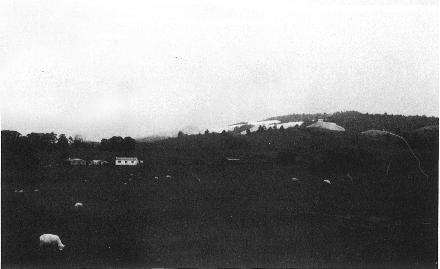 Snow on Scotsmen's Valley Hills on the 17th August 1980.